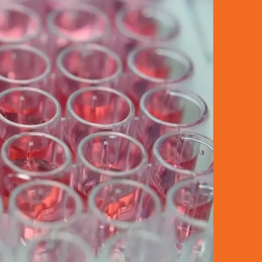 Appropriate Model Selection and Experimental Design for Screening Experiments