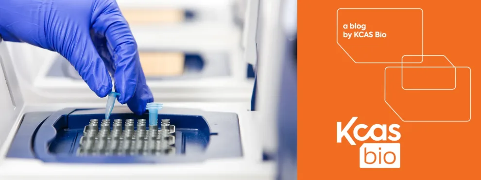 Locked Nucleic Acids (LNAs) in PCR Assays: Enhanced Sensitivity and Specificity