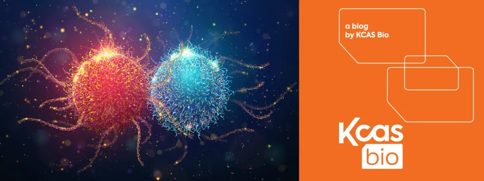 Why Flow Cytometry–Based Cytotoxicity Assays Are Essential in Modern Drug Development