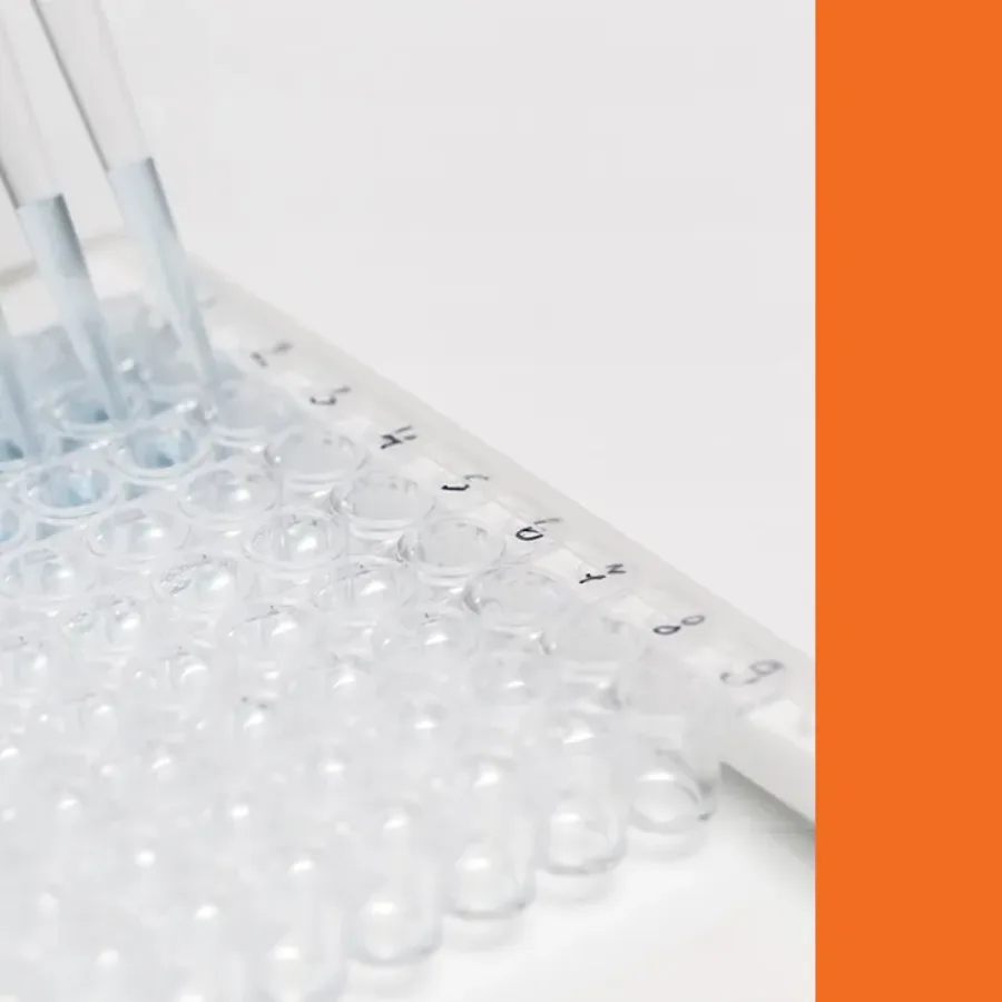 Making Sense of Compound Screening Results