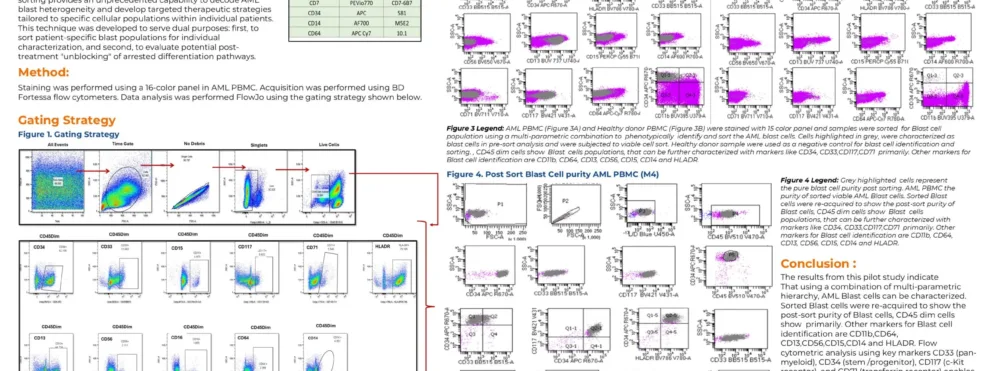 Immunophenotypic Characterization of AML Blast Cells: A Pilot Study for Precision Therapeutic Targeting