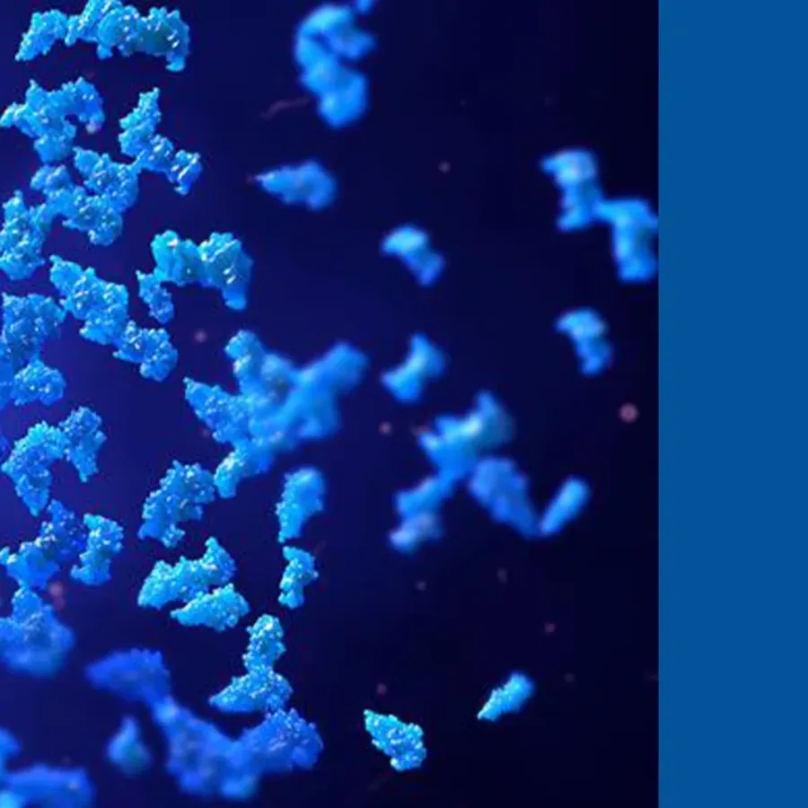 KCAS-webinar-thumb_2025-10-XTalks