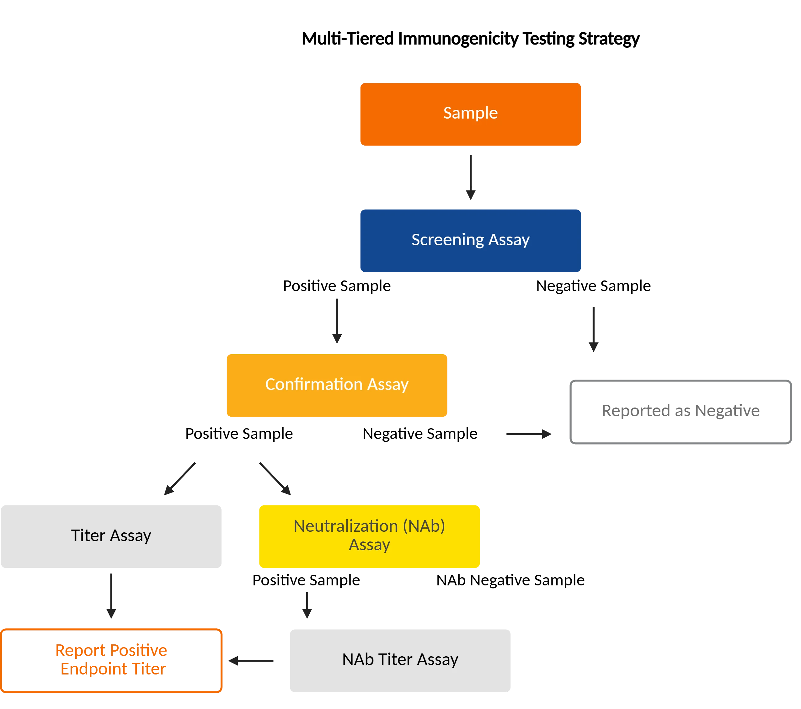 Multi-Tiered Immunogenicity Testing Strategy_KCAS Bio