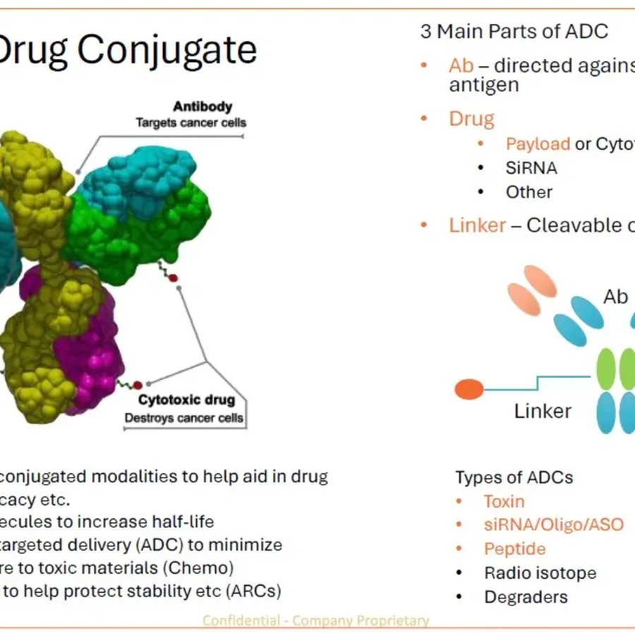 ADC_ARC Conjugates Presentation AAPS 2025_KCAS Bio