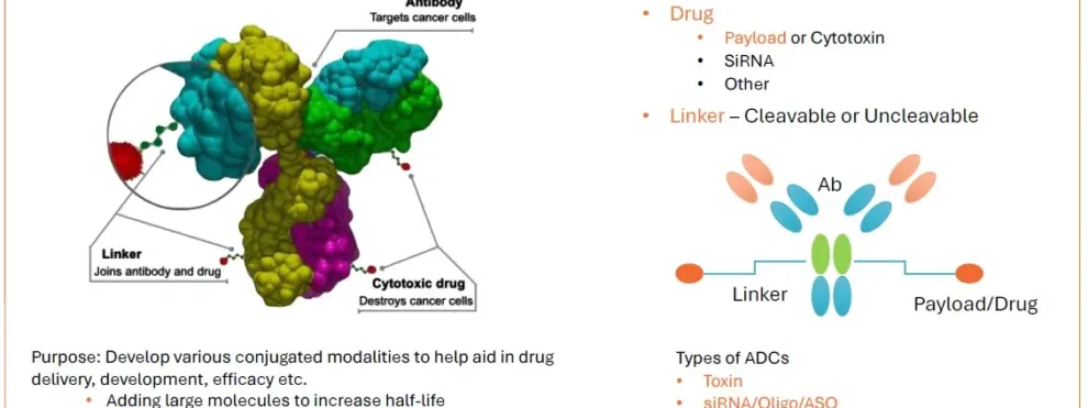 Bioanalytical Strategies for Therapeutic Drugs and Their Conjugates (ADCs, Oligos, siRNA, ASOs and AOCs/ARCs) by QqQ/HRMS – Strategies and Case Studies