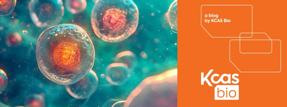 Cell Stimulation for Flow Cytometry