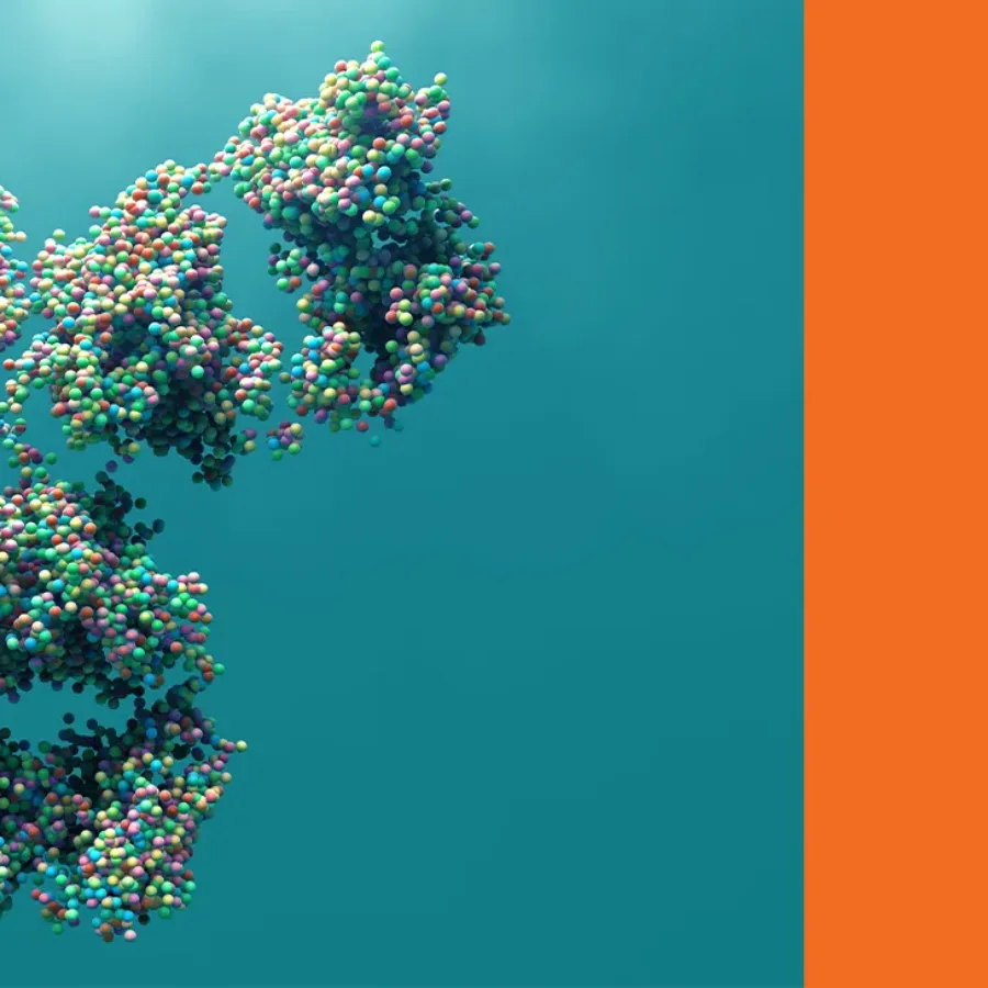 Developing an anti-drug antibody assay for a therapeutic peptide