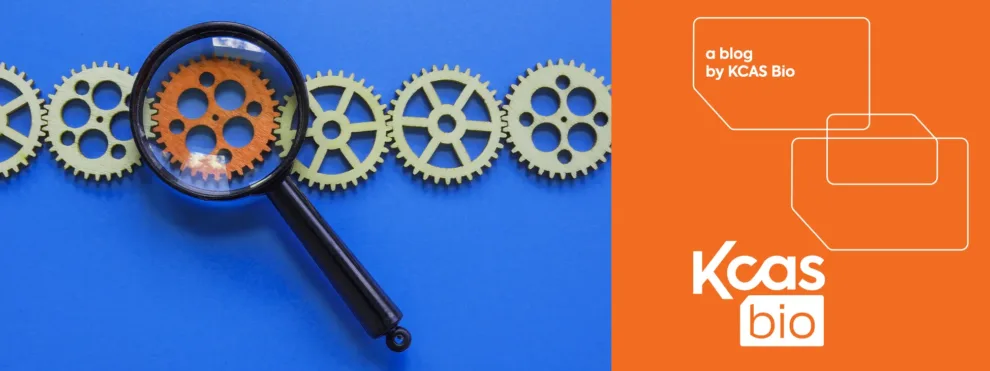 From LBA to LC-MS/MS: Solving the PK/PD Disconnect in Biotherapeutic Stability