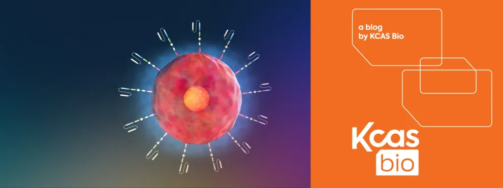 Continuous Flow Cytometry Support for PK/PD Programs in Cell Therapy, from Phase I to Global Expansion