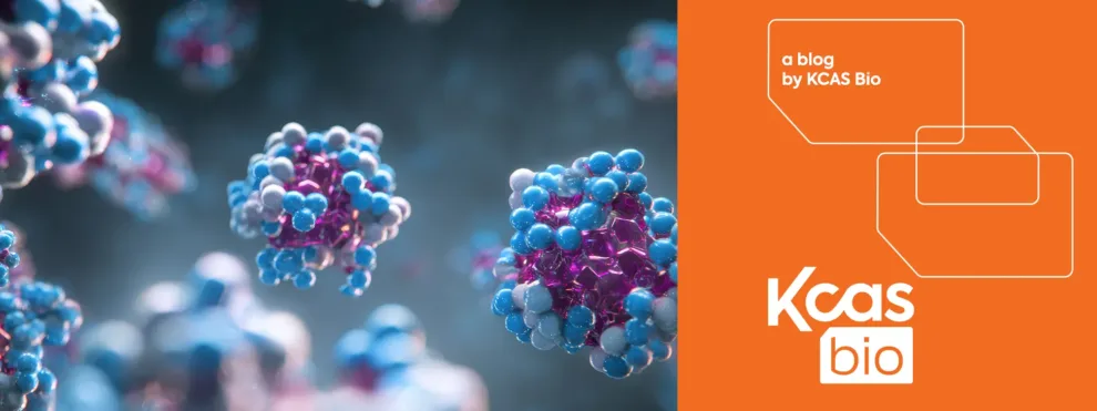 From Preclinical to Clinical: Tracking Target Binding in Solid Tumor Therapy