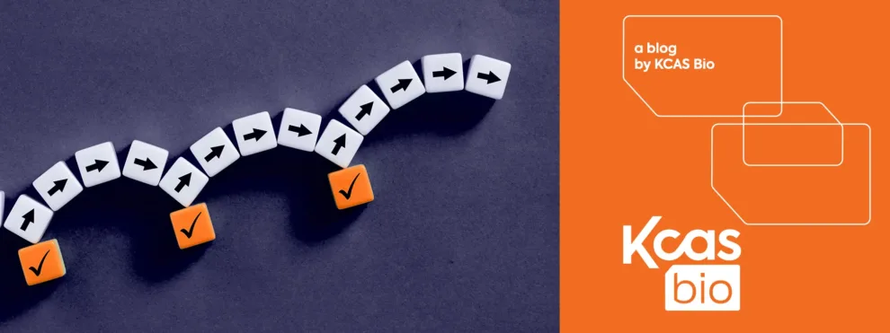 PK Method Optimization and GLP In‑Study Sample Analysis in Rat and NHP Serum