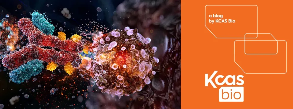 Drug Conjugates: The Technology Transforming Modern Therapeutics