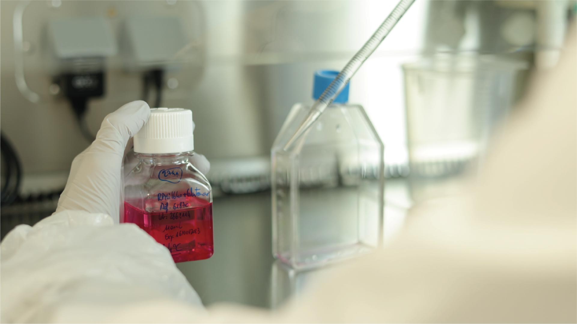 Cell-based assays services at KCAS Bio
