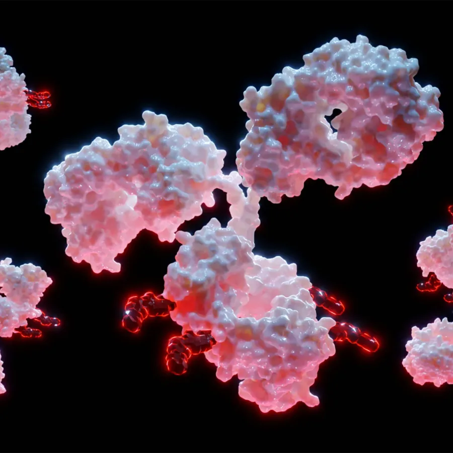 3D Rendering of Antibody Drug Conjugate Molecules – ADC – with cytotoxic payload