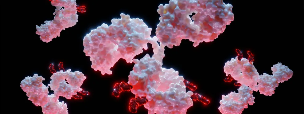 Comprehensive LC-MS Workflows for Antibody Drug Conjugate (ADC) Analysis