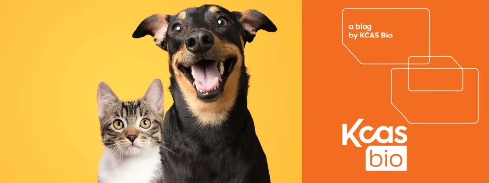Key Trends Shaping Companion Animal Health Studies