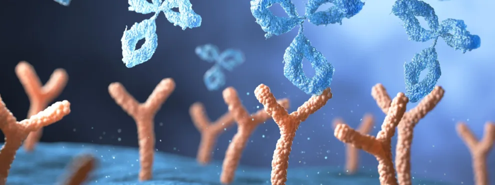 Neutralizing Antibody Validation Testing and Reporting Harmonization