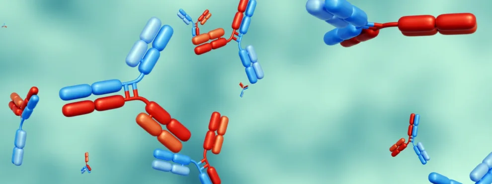 Bioanalytical Challenges and Unique Considerations to Support Pharmacokinetic Characterization of Bispecific Biotherapeutics