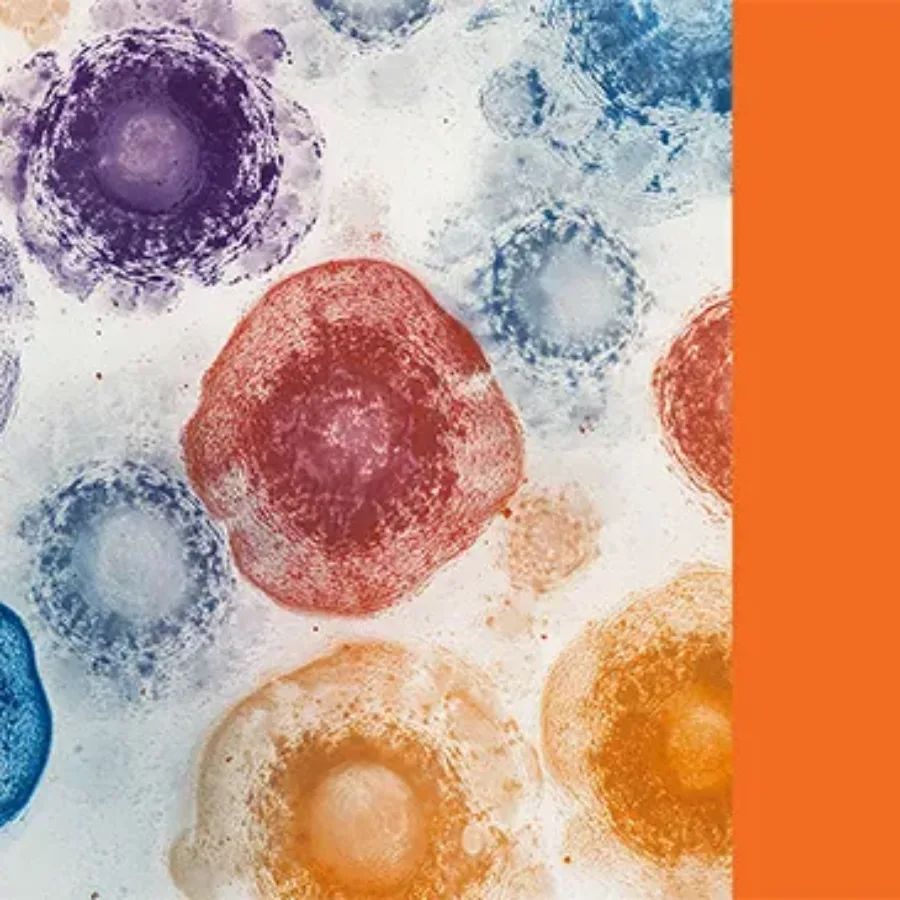 Monitoring vaccine immunogenicity with ELISpot-KCASBio